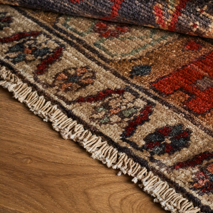 Antonia Rug (5'3" x 11'6")