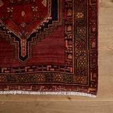 Anis Rug (3'8" x 9'5")