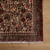 Danya Rug (3'5" x 10'1")