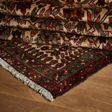 Danya Rug (3'5" x 10'1")