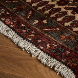 Danya Rug (3'5" x 10'1")