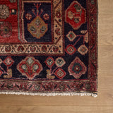 Audeline Rug (5'0" x 9'7")