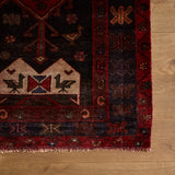 Bertholis Rug (4'11" x 9'2")