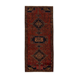 Asteria Rug (4'3" x 10'2")