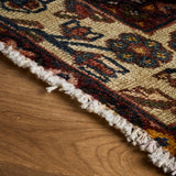 Segalit Rug (4'3" x 6'4")