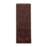 Ivo Rug (3'5" x 9'11")