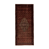Franz Rug (4'5" x 10'6")