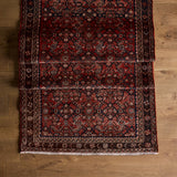 Tapis Séphir (3'8" x 10'0")