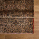 Carlotta Rug (4'6" x 6'6")