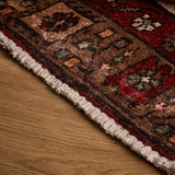 Pheonix Rug (3'9" x 13'3")