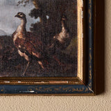 The Duo of Small Frames Élégie aux plumes & Rouge