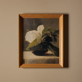 Fleur de Magnolia (19" x 23")