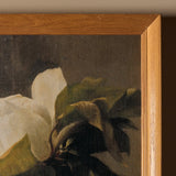 Fleur de Magnolia (19" x 23")