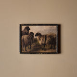 Petite laine (13" x 10")