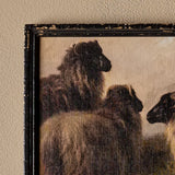 Petite laine (13" x 10")