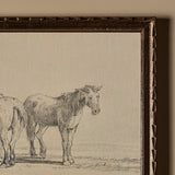 Les Vieux Chevaux (19" x 16")