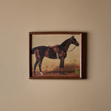 Seabiscuit (16" x 14")