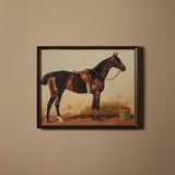 Seabiscuit (21" x 17")