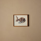 Le lapin de Béatrice (11" x 9")