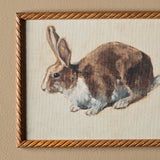 Le lapin de Béatrice (11" x 9")