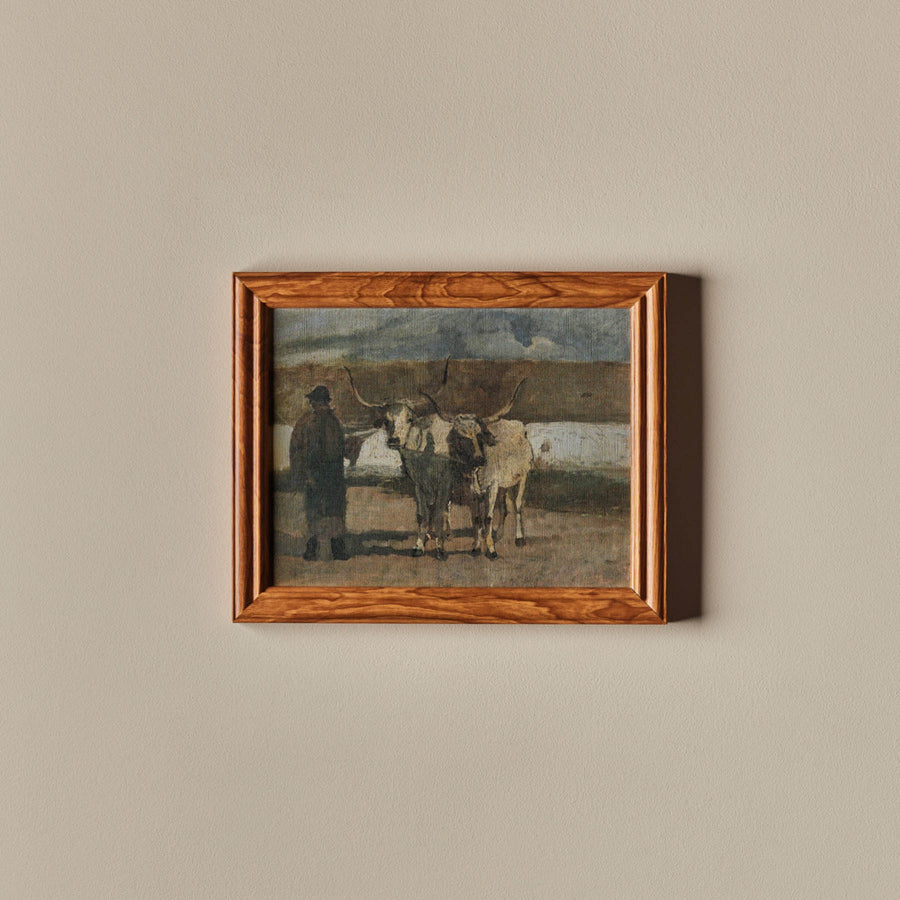 L'homme & ses bovins (15" x 12")