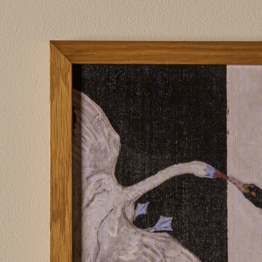 La danse des cygnes (11" x 11")