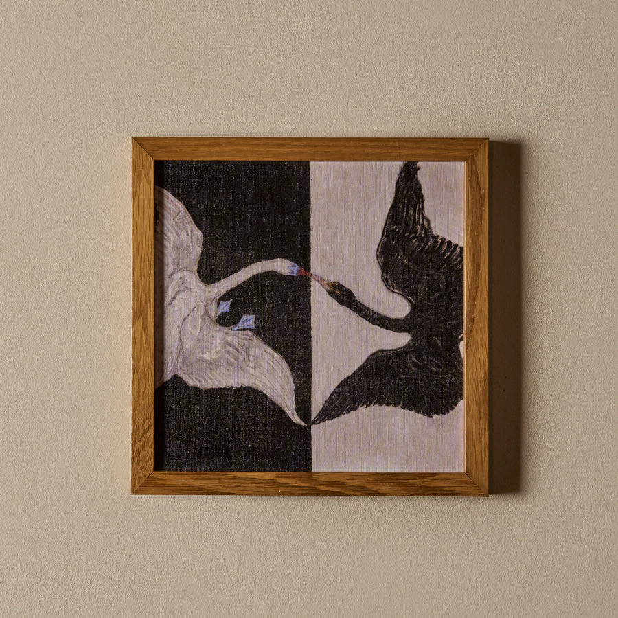 La danse des cygnes (11" x 11")