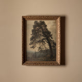 Le gardien (21" x 27")