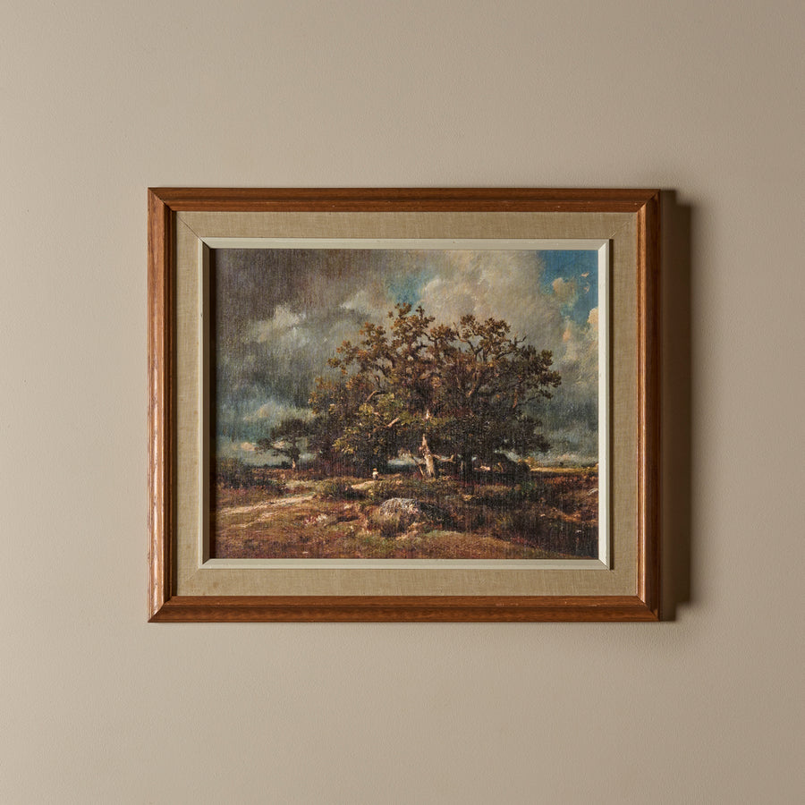 Le vieux chêne (26" x 22")