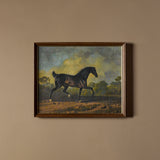 Black Beauty (22" x 18")
