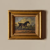 Black Beauty (22" x 19")