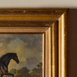 Black Beauty (22" x 19")