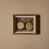 Les citrons (13" x 11")