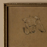 Esquisse d'un petit chien (13" x 10")