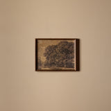 L'arbre d'Alexandre (12" x 9")