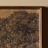 L'arbre d'Alexandre (12" x 9")