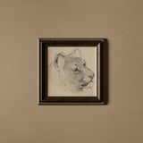 La lionne (16" x 16")
