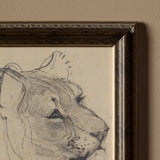 La lionne (16" x 16")
