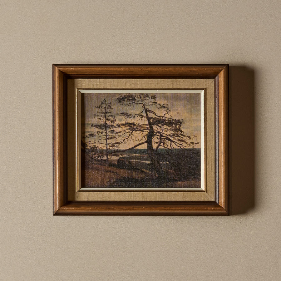 Cime aux pins perdus (14" x 12")