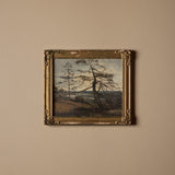 Cime aux pins perdus (15" x 13")