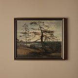 Cime aux pins perdus (25" x 21")