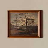 Cime aux pins perdus (27" x 23")