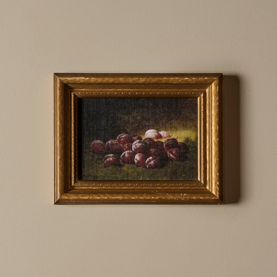 Les prunes obscures (13" x 11")