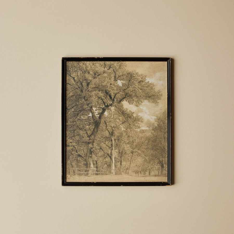 Les Arbres (14" X 17")