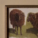 Les deux béliers (10" x 8")