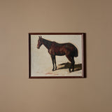 Hidalgo (16" x 13")