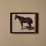 Hidalgo (16" x 13")
