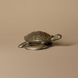 Handcrafted Brass Turtle