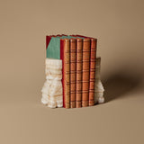 Vintage Mayan Banded Onyx Bookends & Antique Books