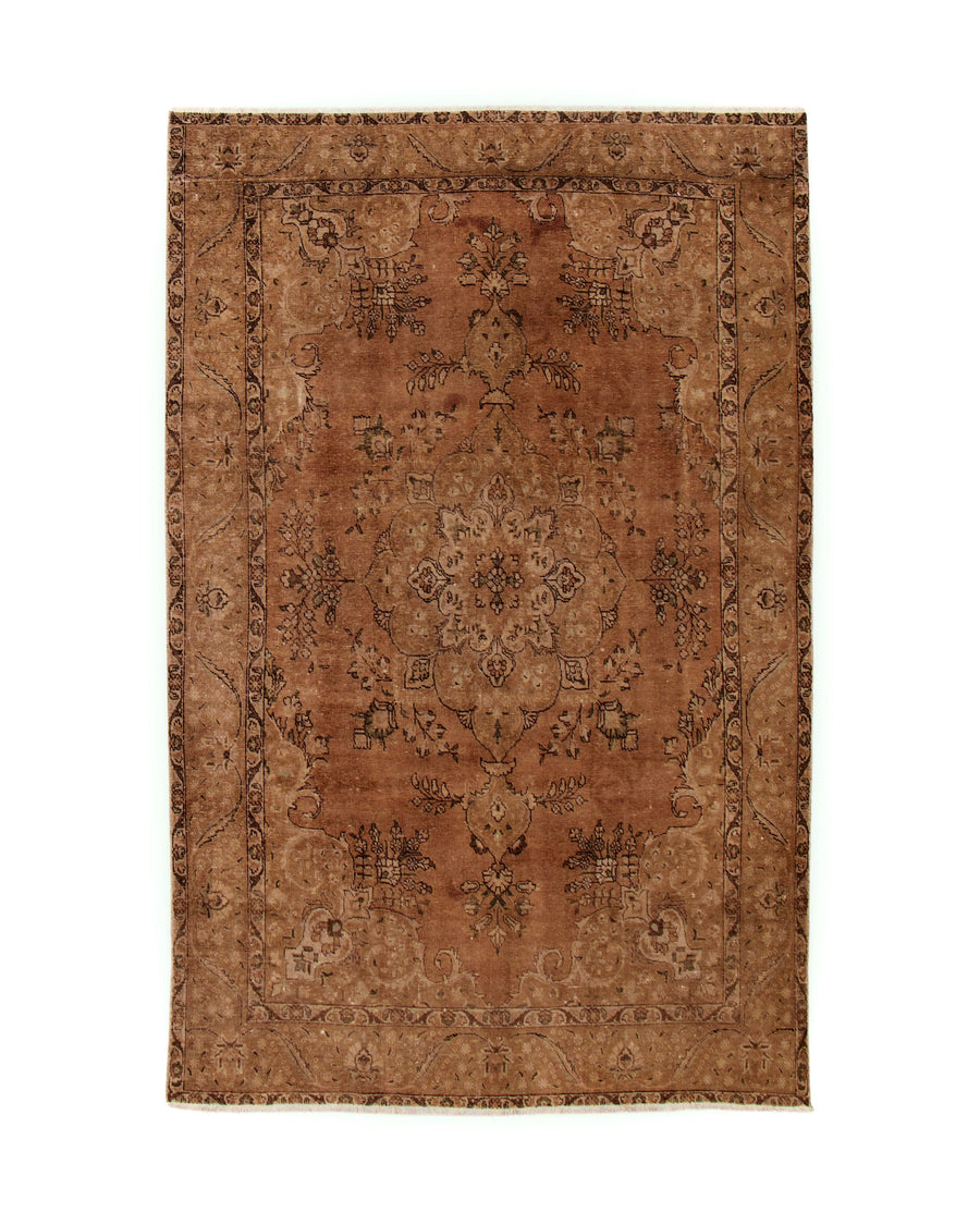 Carmella Rug (7'1" x 10'10")